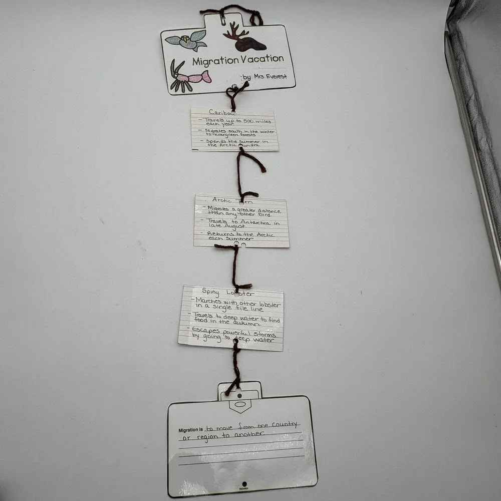 Vintage Migration Vacation Bats Birds Classroom‎ Teaching Aids Laminated Lot